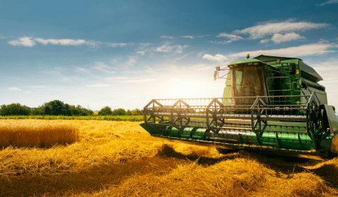 Recuperacao de Pecuarista e Produtor Rural 1